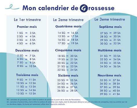 simulateur de grossesse semaine jour.